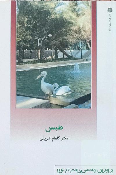 طبس - از ایران چه میدانم