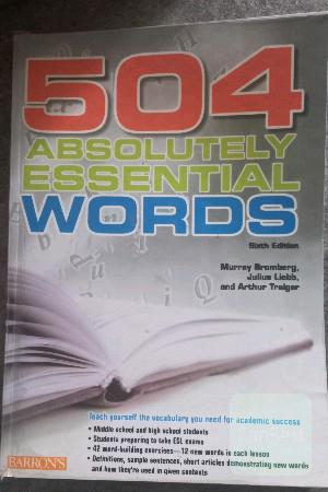 504 absolutely essential words