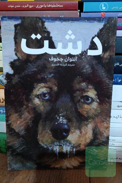 دشت