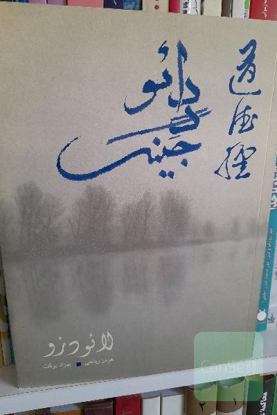 دائو د جینگ