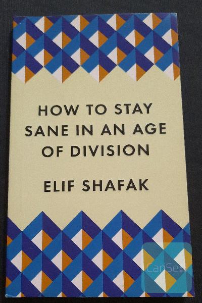 how to stay sane in an age of division