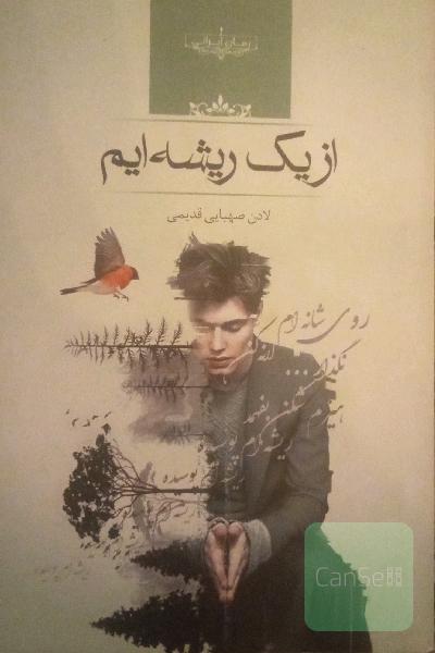 از یک ریشه ایم 