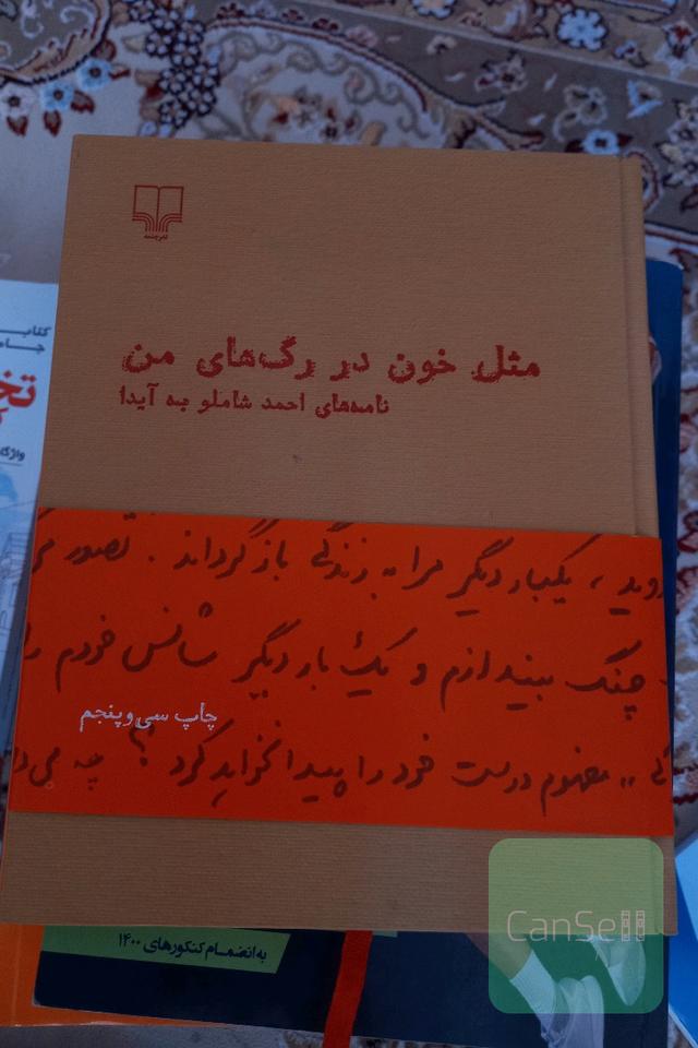 مثل خون در رگ‌های من: نامه‌های احمد شاملو به آیدا