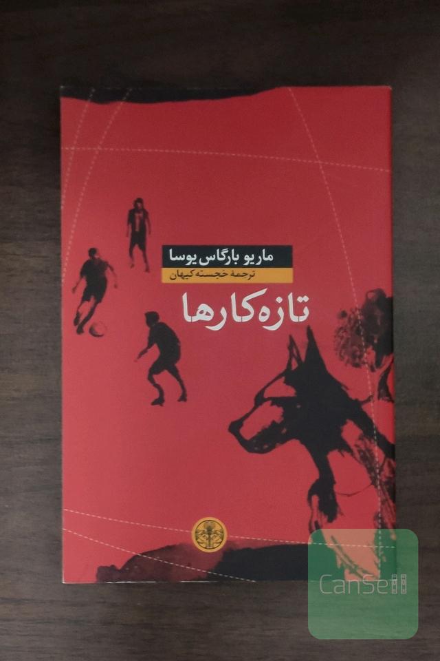 تازه‌کارها