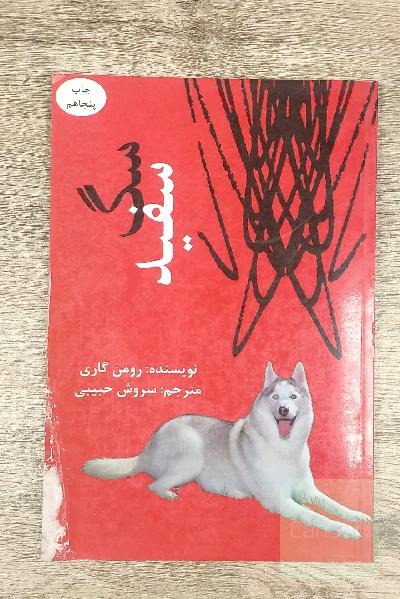 سگ سفید