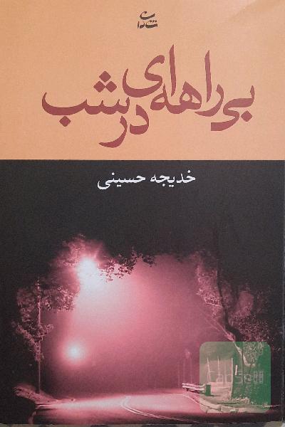 بی‌راهه‌ای در شب