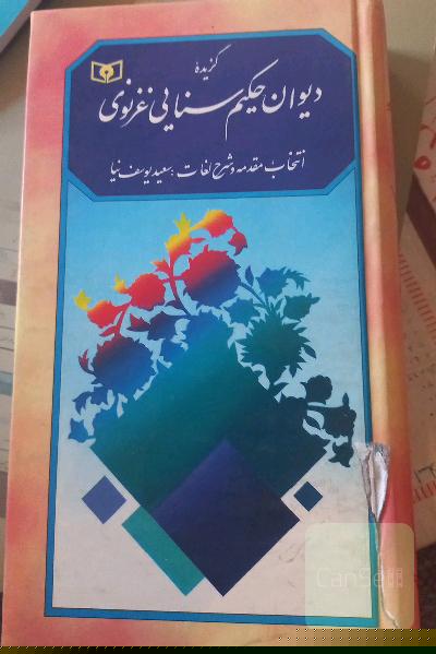 گزیده دیوان حکیم سنایی غزنوی