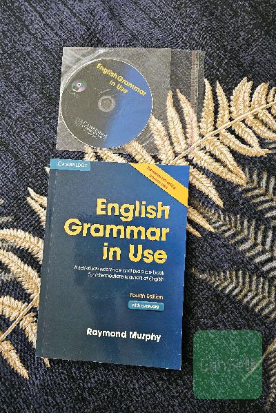 English grammar in use