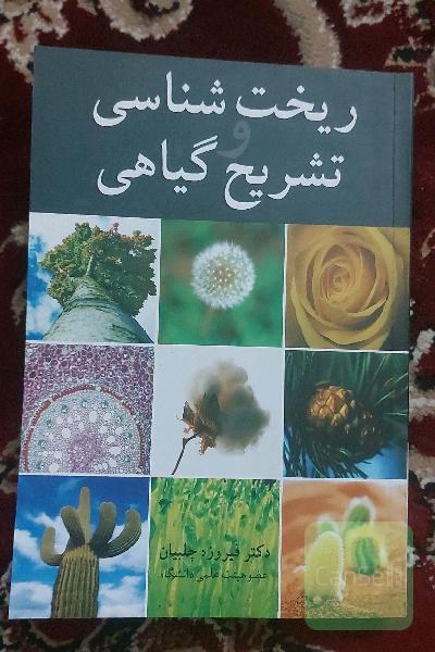 ریخت شناسی و تشریح گیاهی