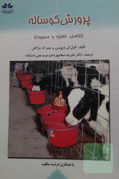 پرورش گوساله