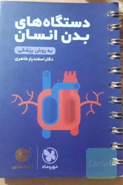 لقمه طلایی دستگاه‌های بدن انسان (به روش پزشکی)