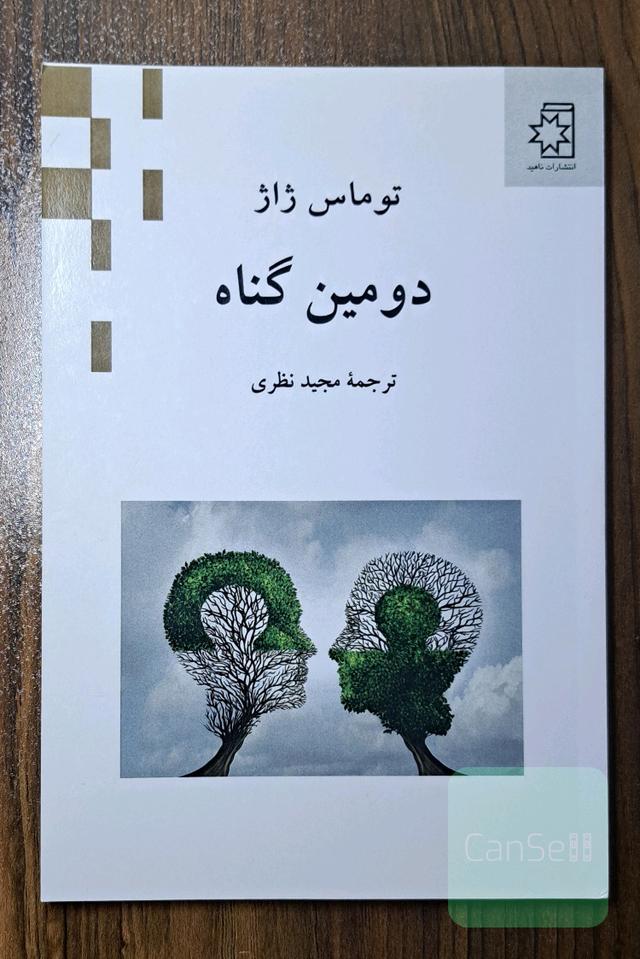 دومین گناه