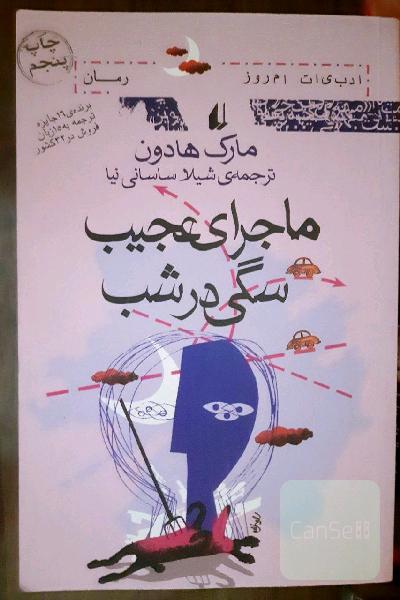 ماجرای عجیب سگی در شب