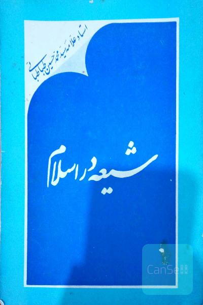 شیعه در اسلام
