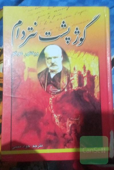 گوژپشت نتردام