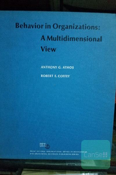 behavior in oganizational a multidimensional view
