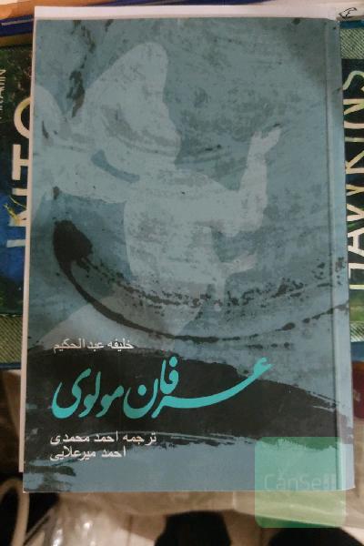 عرفان مولوی 