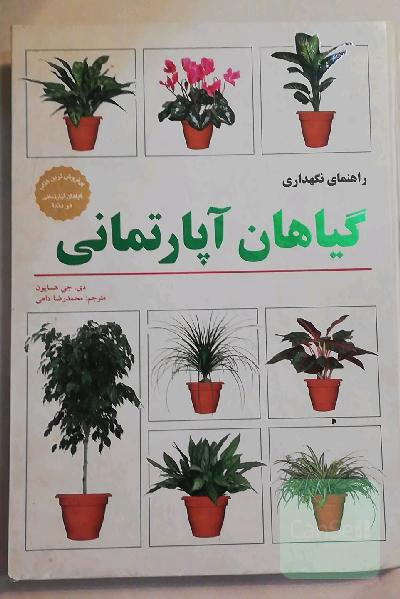 راهنمای نگهداری گیاهان آپارتمانی