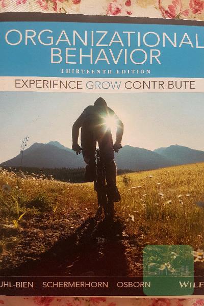 organizational behavior