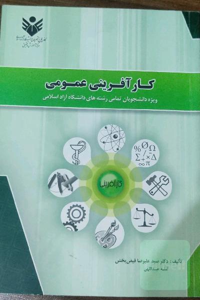 کار آفرینی عمومی