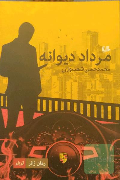 مرد دیوانه