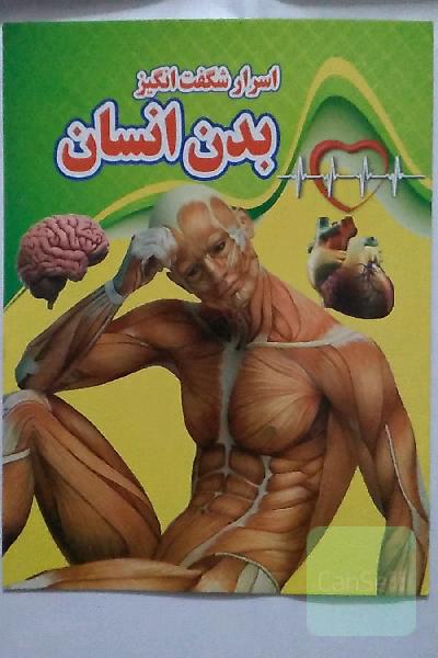 اسرار شگفت‌انگیز: بدن انسان