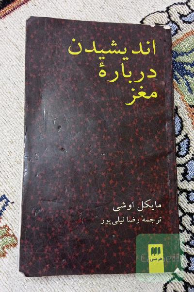 اندیشیدن درباره مغز