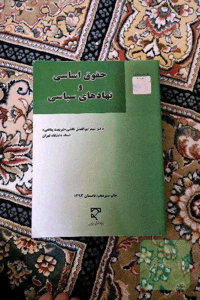حقوق اساسی و نهادهای سیاسی