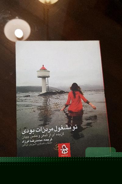 تو مشغول مردنت بودی