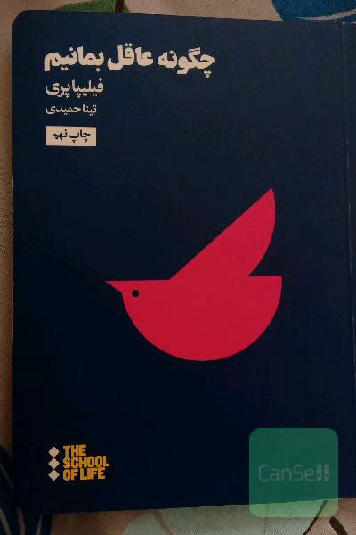 چگونه عاقل بمانیم