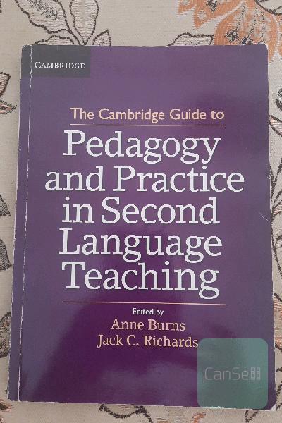 pedagogy and practice in second language teaching