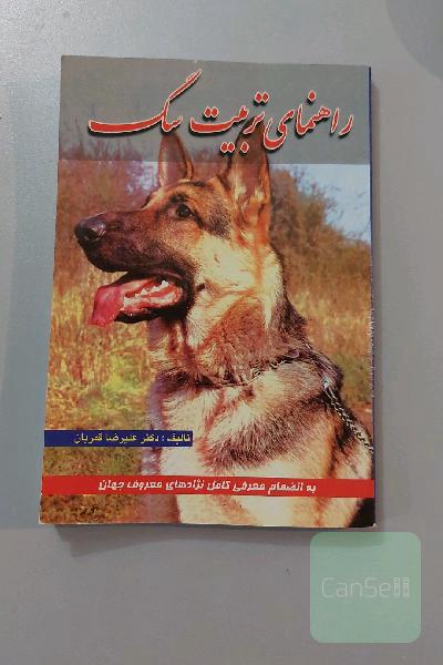 راهنمای تربیت سگ 
