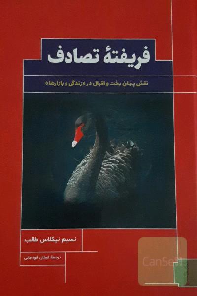 فریفته تصادف