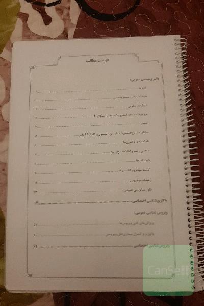 سیب سبز ویروس و باکتری پزشکی