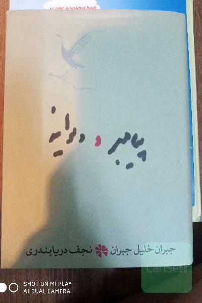 پیامبر و دیوانه