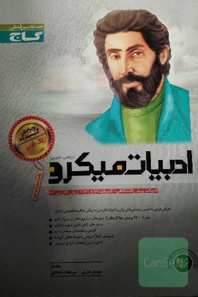 ادبیات میکرو