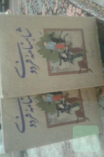 شاهنامه فردوسی دوجلدی