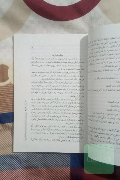 سپید دندان