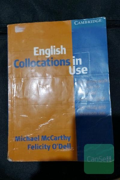 english collocation in use