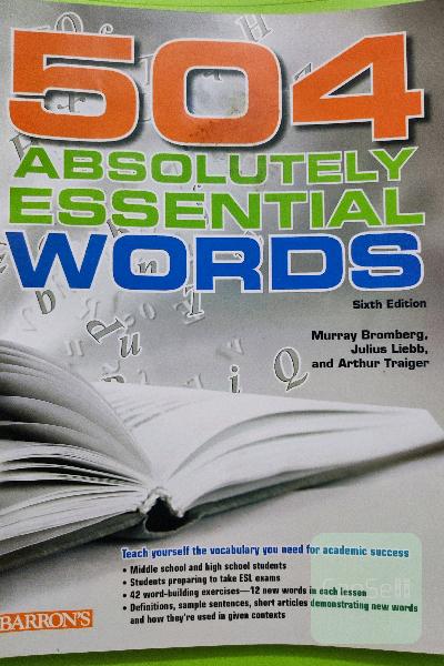 504 absolutely essential words