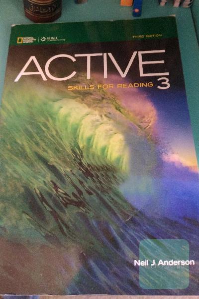 active skills for reading 3