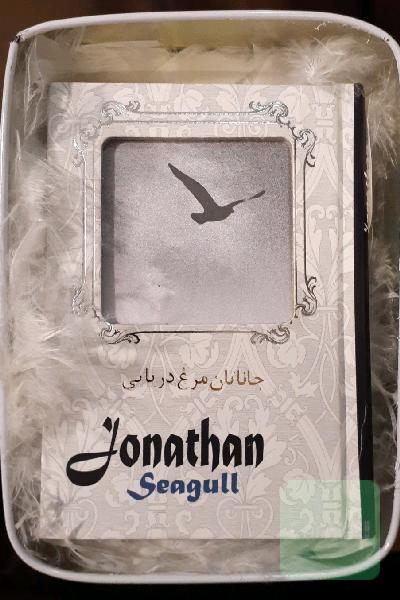 جاناتان مرغ دریایی
