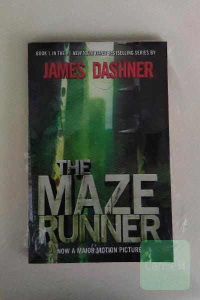 The Maze Runner
