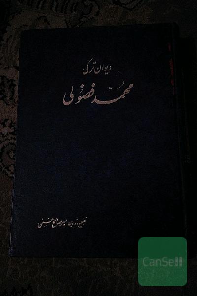 دیوان ترکی