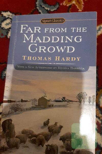 Far From the Madding Crowd