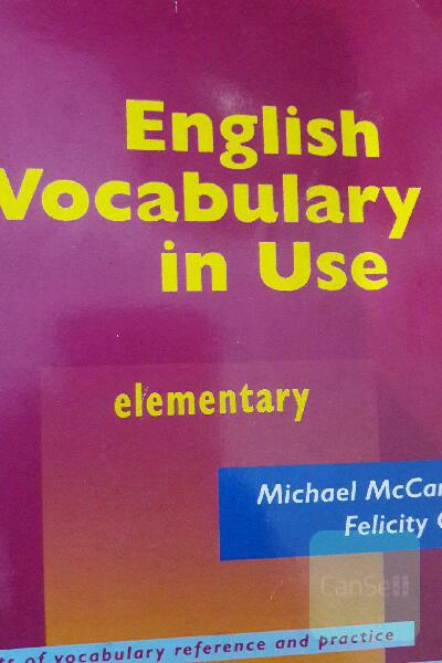 english vocabulary in use
