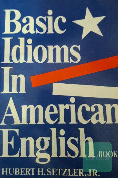 basic idioms in american english