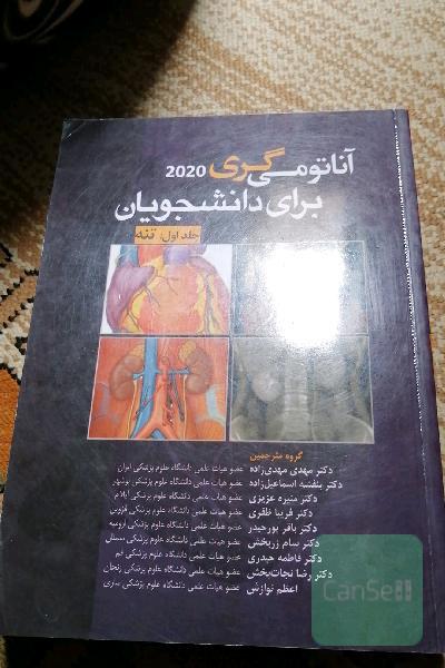 آناتومی گری  تنه2020