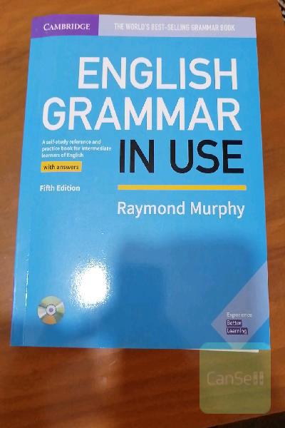 English Grammar in Use 