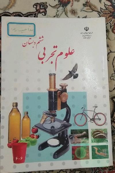 علوم تجربی